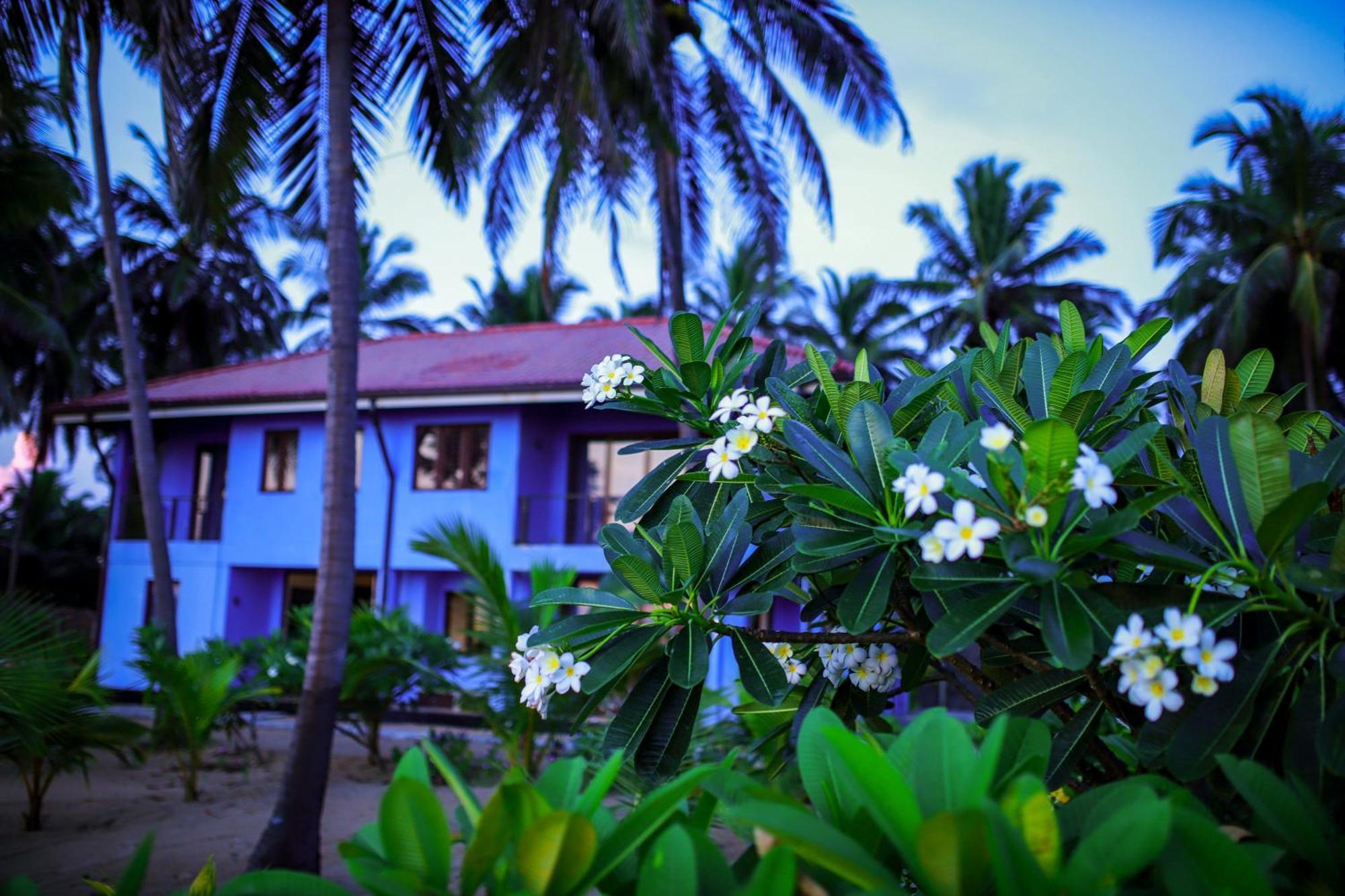 Nayan'S Paradise Kottanitivu Exteriör bild