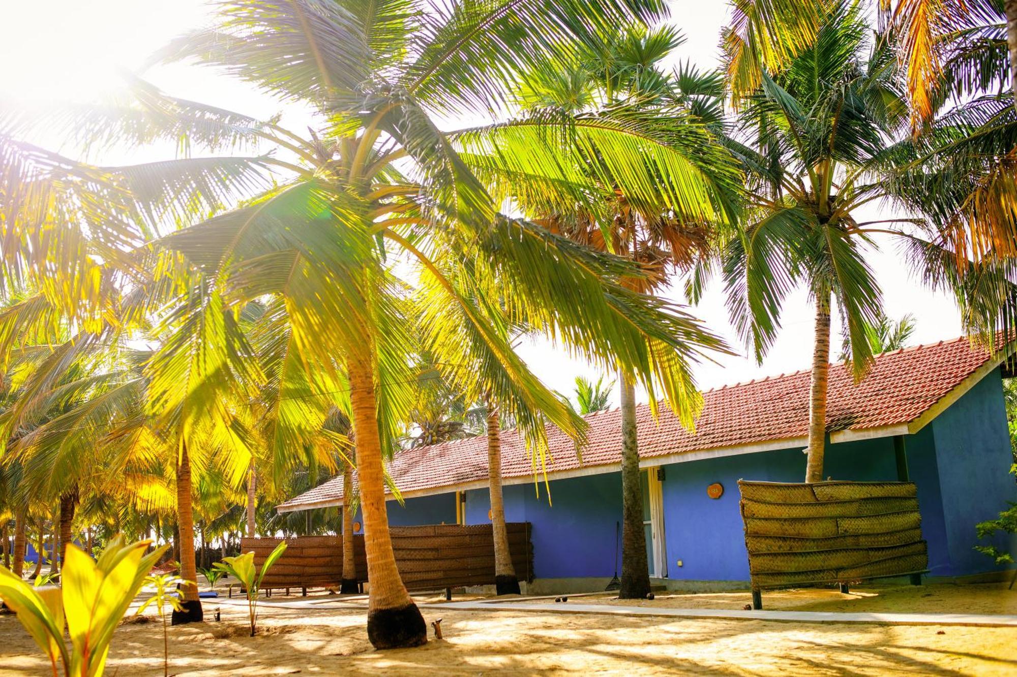 Nayan'S Paradise Kottanitivu Exteriör bild